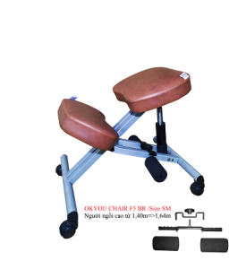GHẾ BẢO VỆ CỘT SỐNG VÀ NGĂN NGỪA CẬN THỊ OKYOU DÒNG CAO CẤP F5 - BR