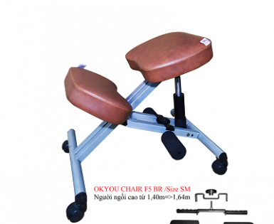 GHẾ BẢO VỆ CỘT SỐNG VÀ NGĂN NGỪA CẬN THỊ OKYOU DÒNG CAO CẤP F5 - BR