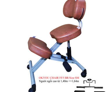 GHẾ BẢO VỆ CỘT SỐNG VÀ NGĂN NGỪA CẬN THỊ OKYOU DÒNG CAO CẤP FF5 - BR