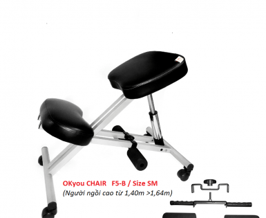 GHẾ BẢO VỆ CỘT SỐNG VÀ NGĂN NGỪA CẬN THỊ OKYOU DÒNG CAO CẤP F5 - B ( Size SM, ML,XXXL)
